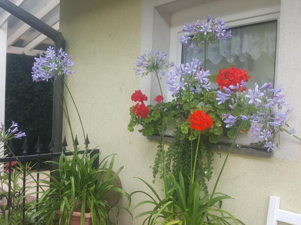 Apartamento Tavirózsa Balatonfůzfő Exterior foto